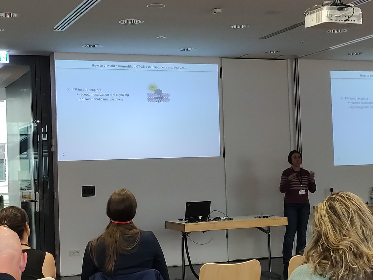 Frederic Bihel tweet media