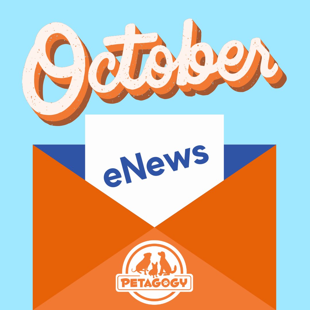 Petagogy's tweet photo. PAWty time in Greensburg, Howl-O-Ween, Animal Safety Month and more! 🎉 - https://t.co/yYoNtnPSZk https://t.co/KBoTMGNif3