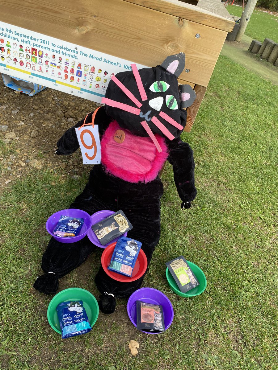 MeadatHilperton's tweet photo. Number 9 looks awesome! 🐈‍⬛ https://t.co/06l5j9aRLf