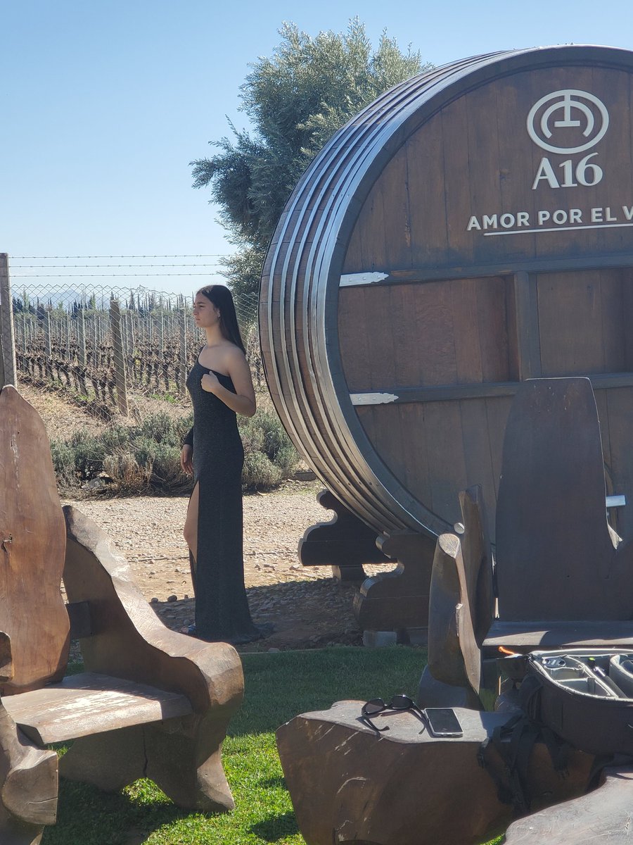 tierradelvino's tweet photo. Yo te hago el #Backstage de #AMQS #bodega 🍷🍷 https://t.co/nfgGEolw8Q