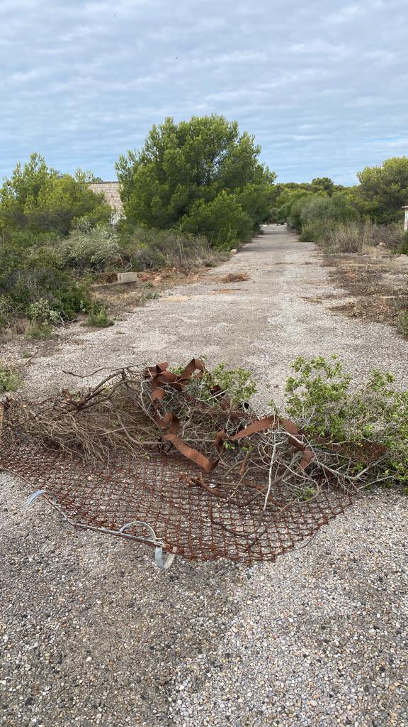 PilarSampColom's tweet photo. Aquest matí fent passejada pel Montgrí just a la #BaseLoran qui diu ser-ne el propietari ens ha prohibit el pàs. Ha tallat arbres. En un @pnmmbt Parc Natural això no s’hauria de permetre @EMDlEstartit @AjTorroella @xarxadeparcs @SosCostaBrava @PlatjadePals https://t.co/Xd9YTuYNXc