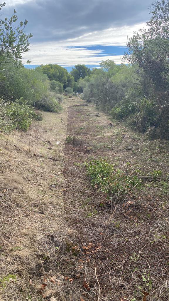 PilarSampColom's tweet photo. Aquest matí fent passejada pel Montgrí just a la #BaseLoran qui diu ser-ne el propietari ens ha prohibit el pàs. Ha tallat arbres. En un @pnmmbt Parc Natural això no s’hauria de permetre @EMDlEstartit @AjTorroella @xarxadeparcs @SosCostaBrava @PlatjadePals https://t.co/Xd9YTuYNXc