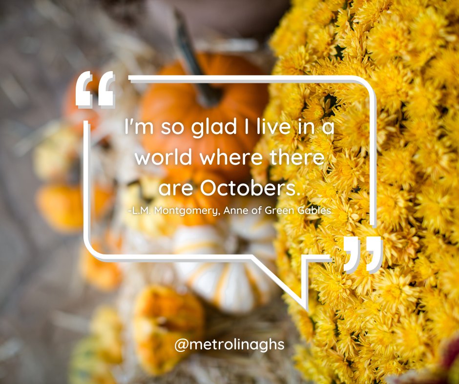 Welcome, October! #fall #plants #flowers #autumn #falldecor