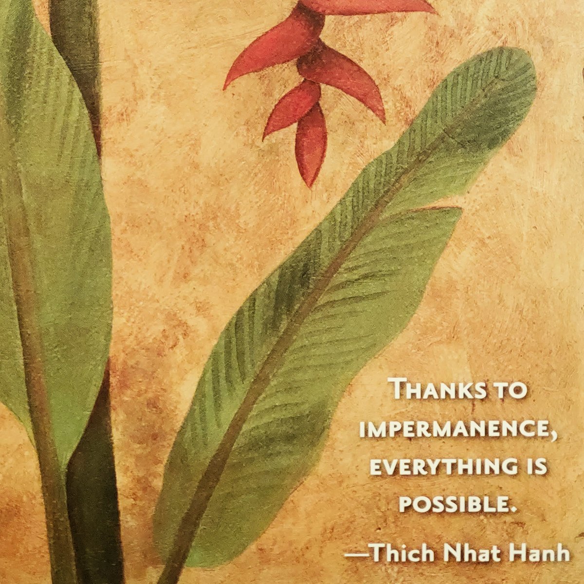 SoniaFTan's tweet photo. Monthly meditation... 🙏 https://t.co/hRTi1rAkkF