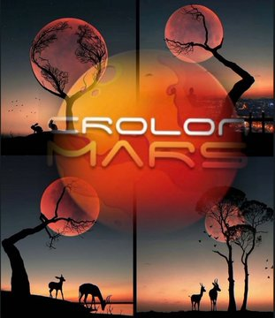 BscComb's tweet image. $SOD is a #1000xgem and they put the work in. Fully #kyc and building towards a future in the @CrolonMars #Metaverse This is one to #dyor and check them out! @Sonofdoge_ #Crypto #cryptocurrency #bsc #btc #bnb #CRO #crofam #eth