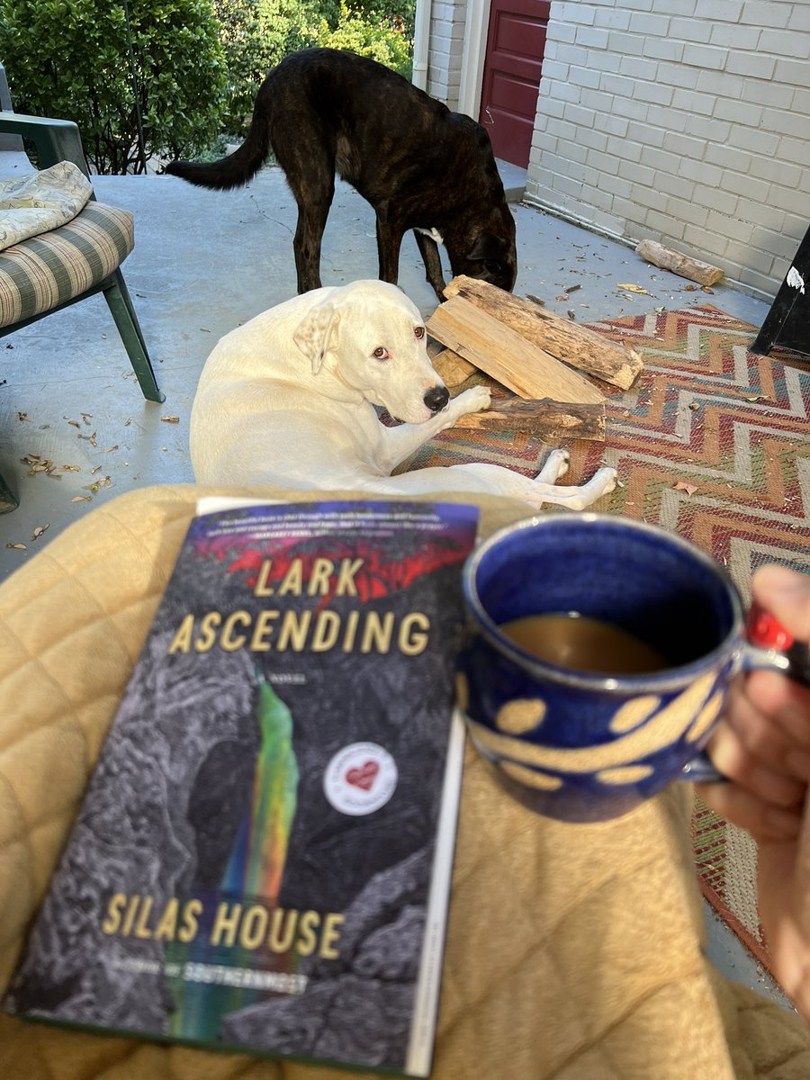 ChargerLMS's tweet photo. Fall Break has got to include some great reads! Got my copy of “Lark Ascending” @silasdhouse @carmichaelsbook .Rosco & Little Ann know how this gorgeous day will be spent!
#reading #greatbooks #kyauthor #silashouse #jcpslibrarian #rescuepups #readingwithRosco
#LittleAnn https://t.co/h1wXQJNoRK