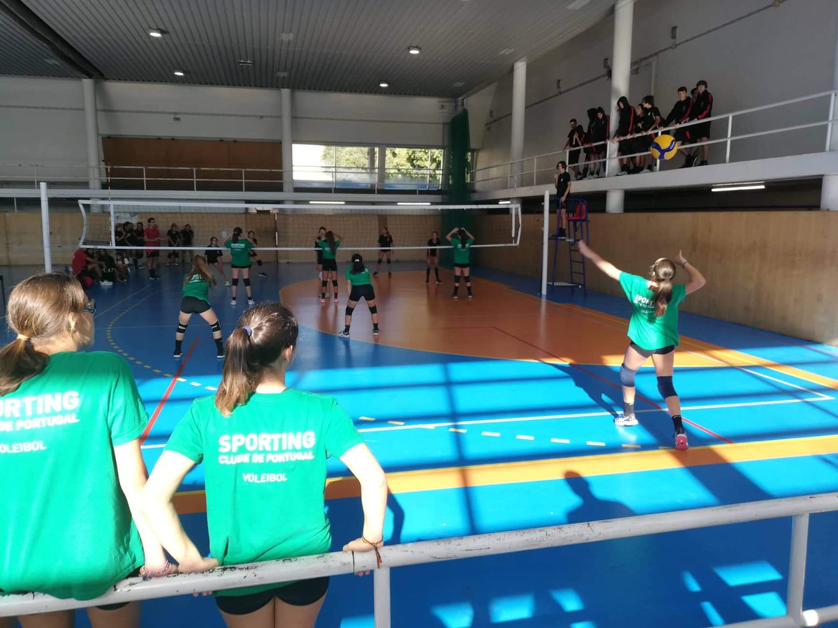 VolFemininoSCP's tweet photo. Alguns momentos das nossas infantis... 📸
Resultado do jogo (apresentação da equipa do CVO que decorreu, hoje, em Oeiras): CVO 2 - Sporting CP 1.
Vamooossss LEOAS! 🦁💚💪💪💪
#SportingCP
#voleibolformfemscp
#Infantis
#preepoca https://t.co/FHnOelVok7