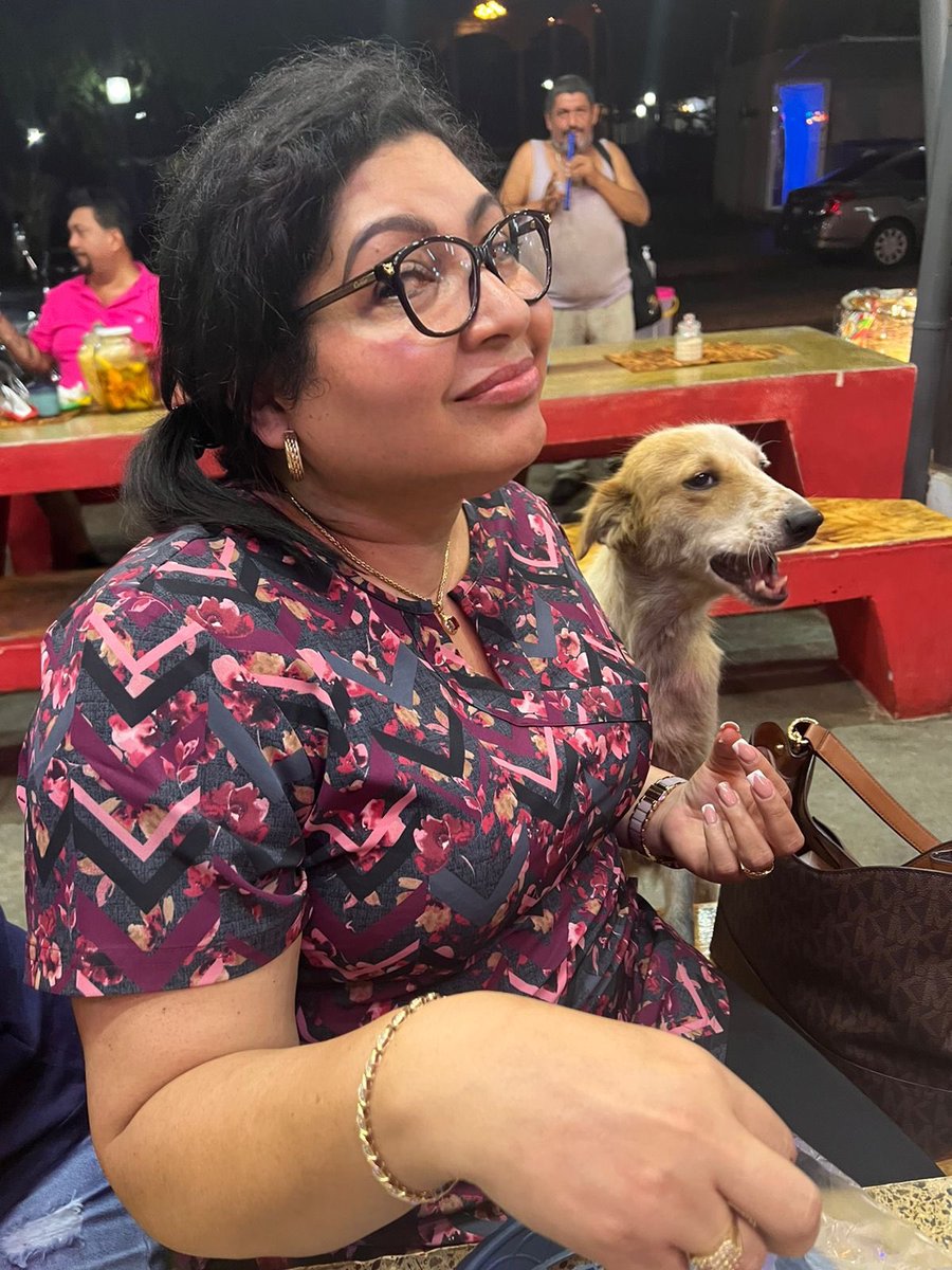 LourdesVigilAlt's tweet photo. Fui a comer pupusas y se me pegó ésta peludita🥰 y qué creen ? Se vino conmigo 🤩Adoptada! Les subiré fotos cuando esté recuperada 🐶🐕🐾 https://t.co/Me3nRKI0Ok