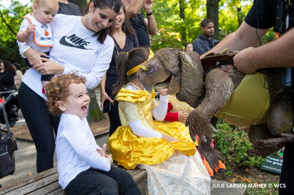Bronx Zoo on Twitter "Boo at the Zoo starts today! From magic and mind