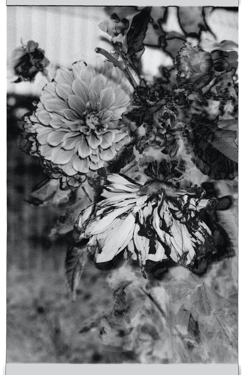 Kristina Podobed tweet media