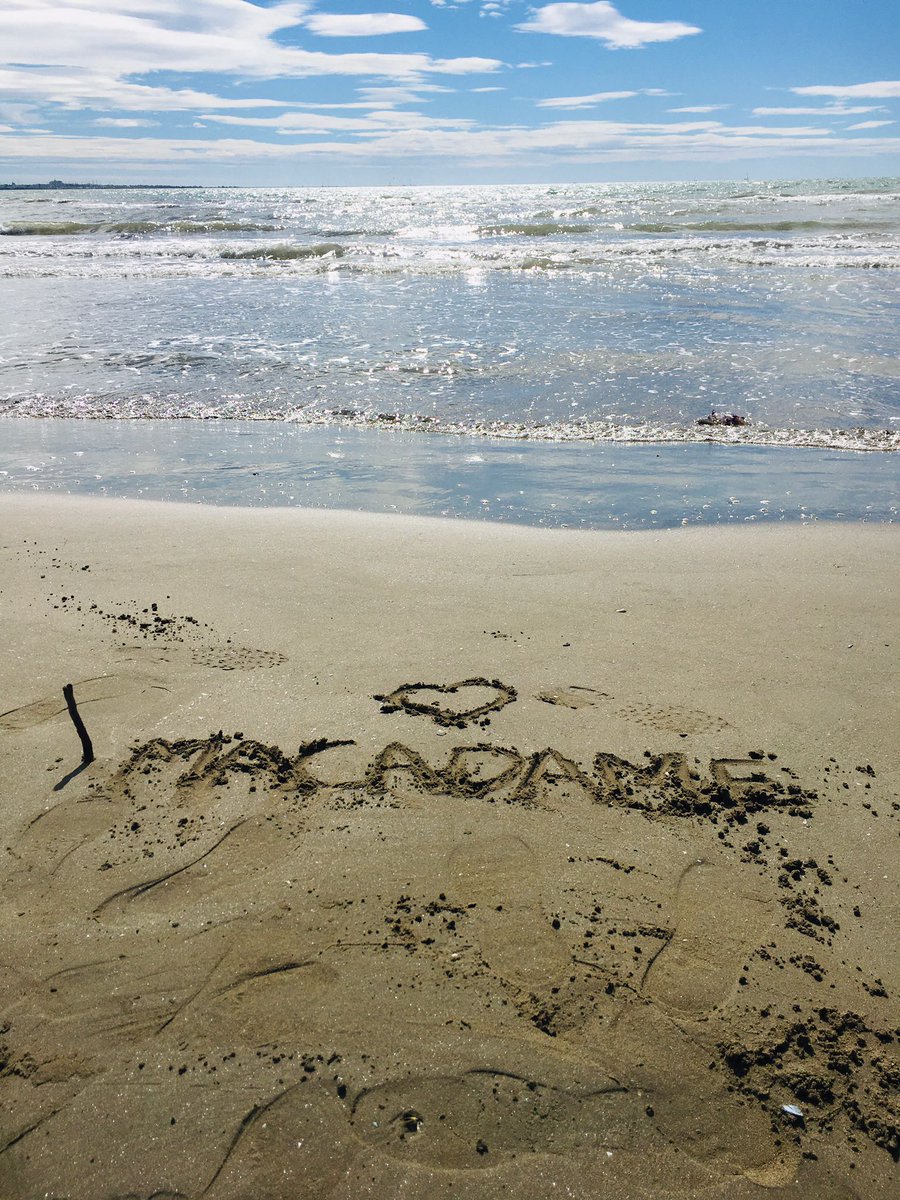 Macadame_MTP's tweet photo. En se baladant sur la plage quelle surprise ! On savait pas qu'on avait déjà des fans... 😍 https://t.co/Rtdirb3veq