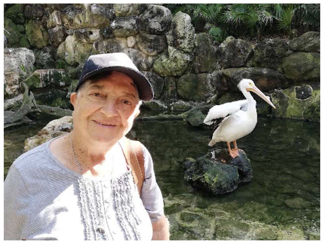 MujeresTIC_Co's tweet photo. 💌 Gilma Castro de Cuncia, Meta y María Elena Pinilla Cano de Bogotá tienen algo que decirte:

“Ponte a emprender”

“Las TIC nos invitan a quitarnos el miedo”

💬 Encuentra los mensajes completos de estas dos mujeres en nuestro especial #Mayoras:  https://t.co/PQRZe1gfFm https://t.co/6NHpG3gQeW