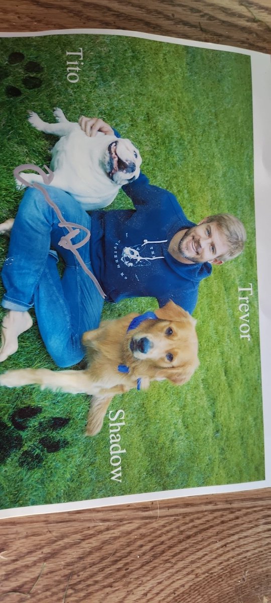 bawomen's tweet photo. @CitizenK9s @TrevDon @CK9store The best boys https://t.co/wwppAElwFD