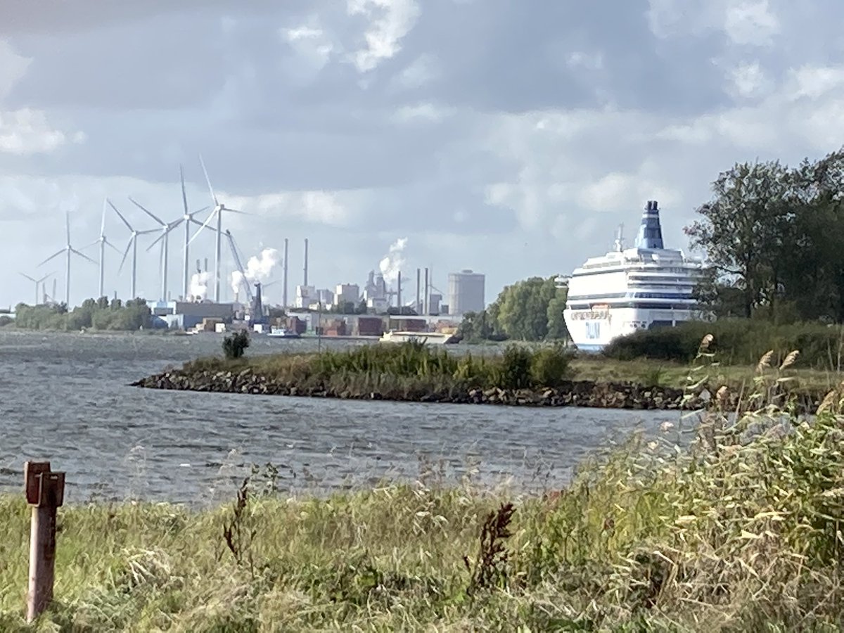 fredsegaar's tweet photo. Er schijnt schurft te zijn uitgebroken onder enkele asielzoekers op het opvangschip in  Velsen-Noord @gemvelsen @coa https://t.co/bc8CRdQExY