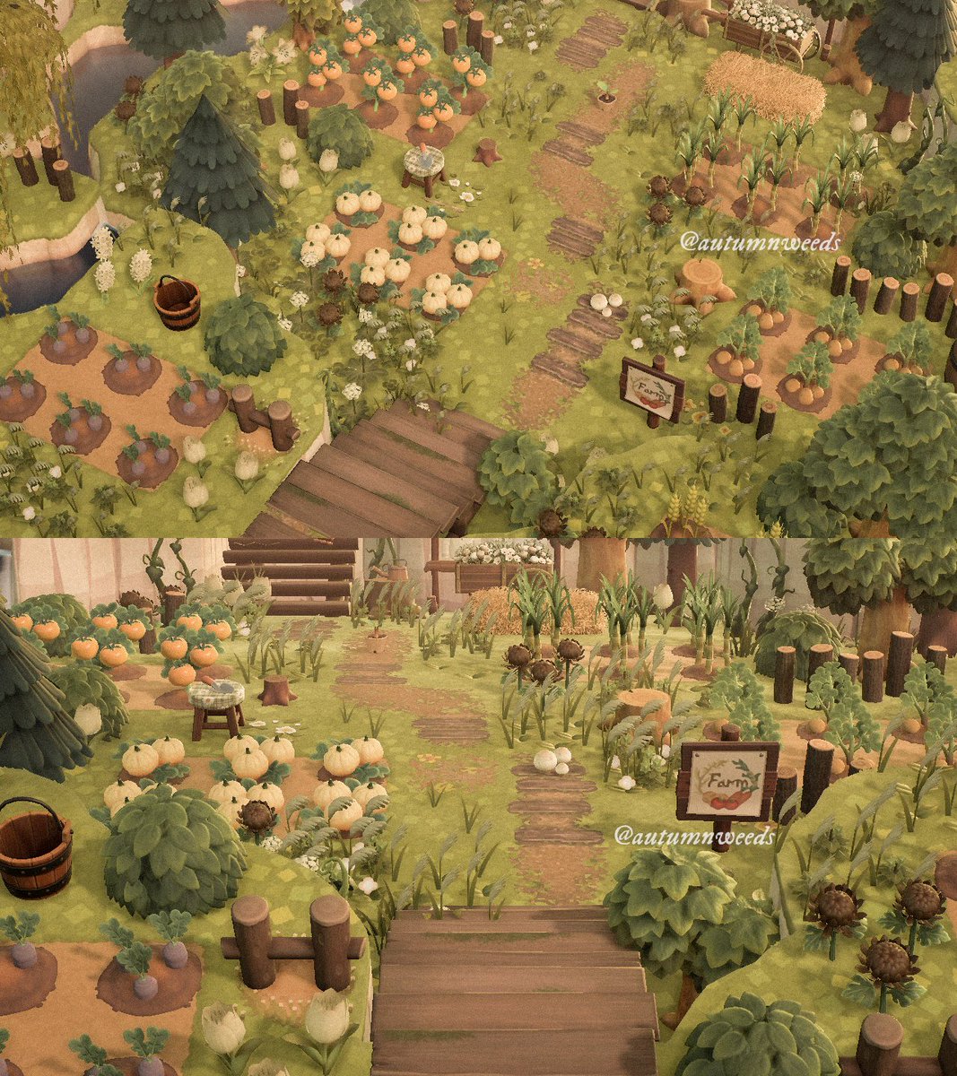 ellaria's organic farm with heirloom tomatoes &amp; purple carrots 🥕

#acnh #acnhinspo #acnhdesign