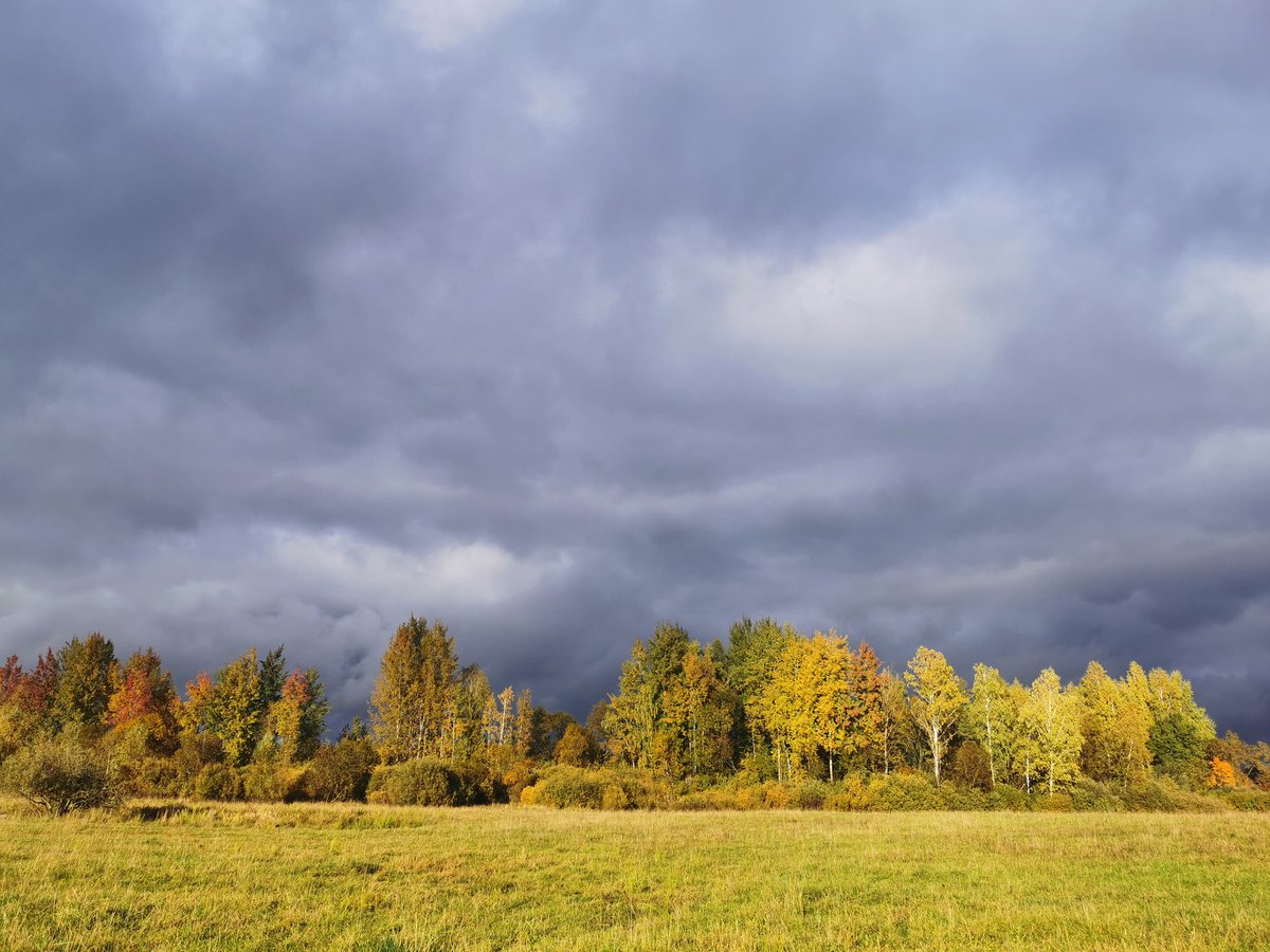 Дакладваю: грыбоў няма 😔