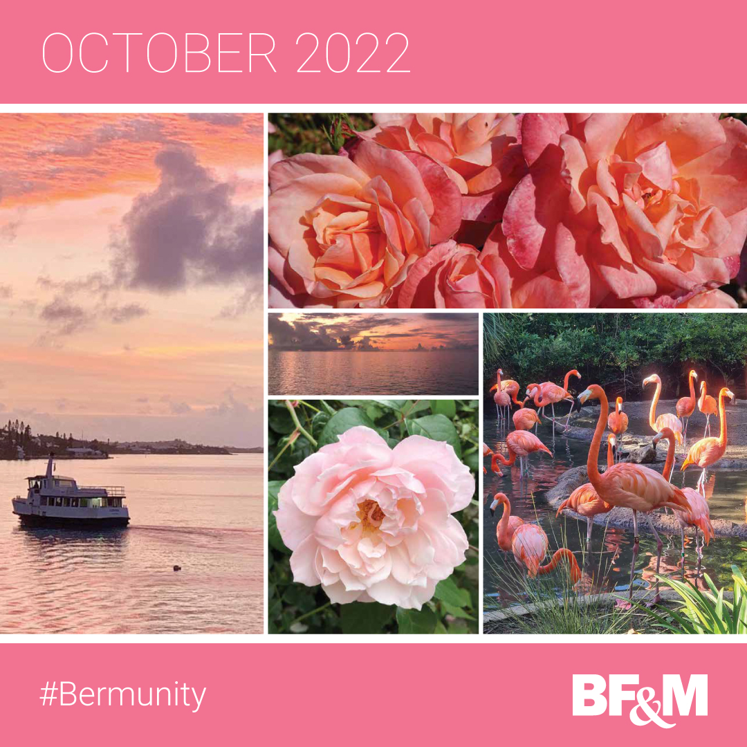 bfminsurance's tweet photo. October is here already! As always, photos from the BF&amp;M calendar are courtesy of the talented team at BF&amp;M. #Bermunity https://t.co/JmhYG4EKvE