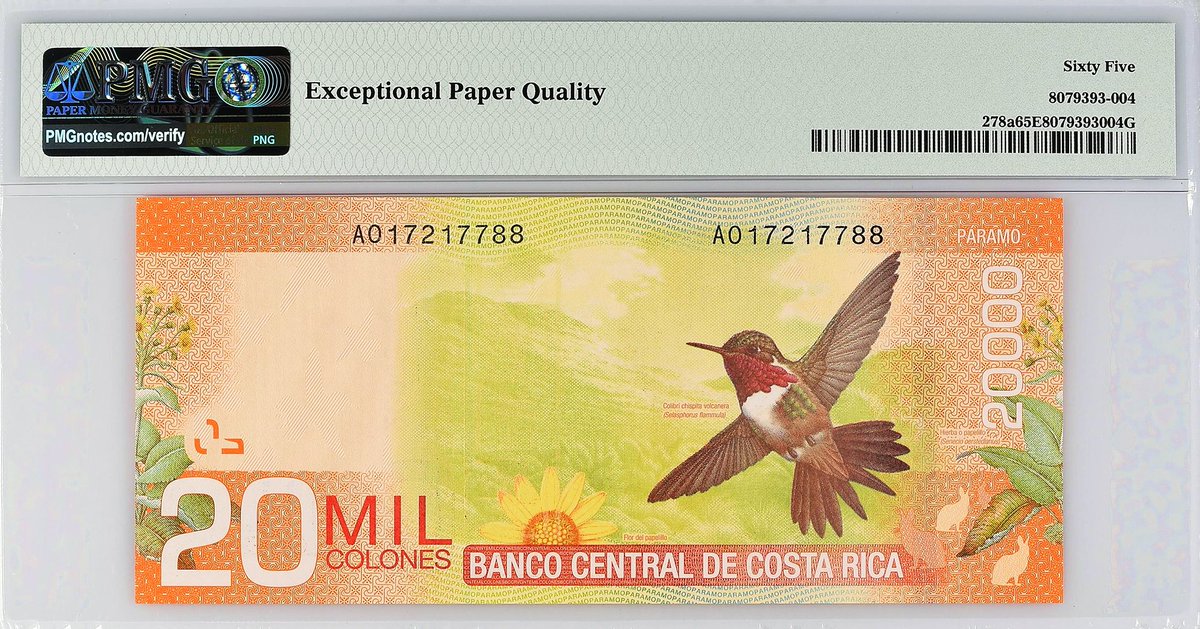 Note of the Day: Today we’re heading to the tropics of #CostaRica to add the Volcano Hummingbird to the #PMGaviary! Primarily inhabiting high mountain slopes, this #hummingbird is depicted on the reverse of this PMG-certified Costa Rica 2009 20,000 Colones note. #birdwatching