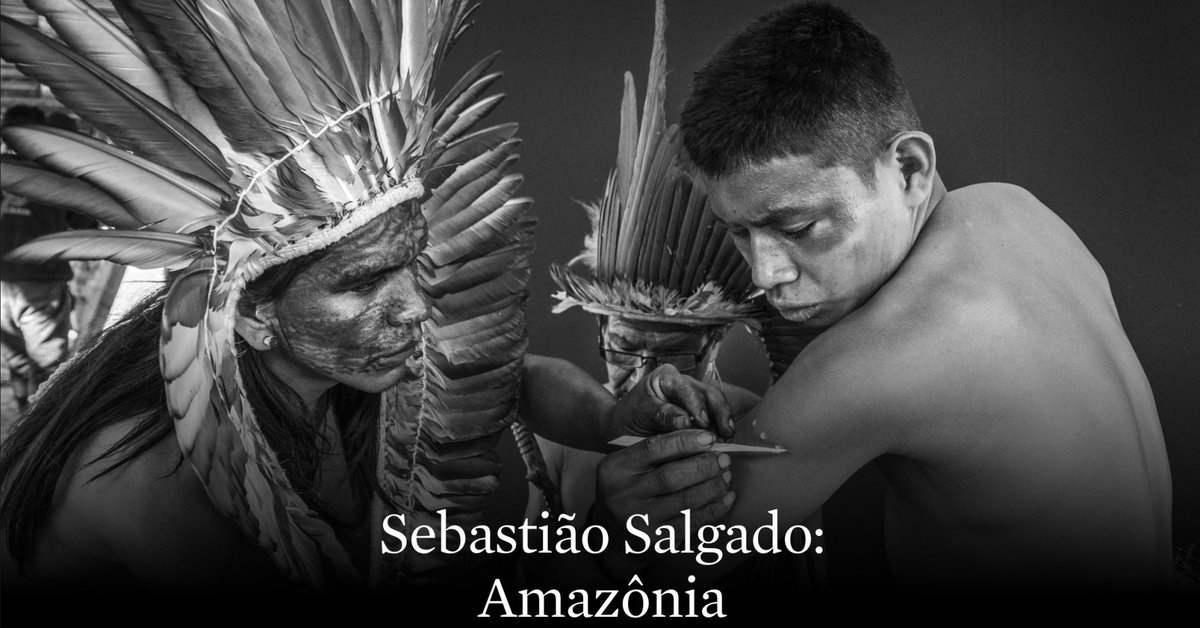 📣 Win a FREE NFT of Salgado Amazonia collection !

We’re partnering with Sotheby’s to offer you this give away, follow <a href="/Sothebysverse/">Sotheby's Metaverse</a>

RT and Like this tweet to have a chance to win this NFT!
x.com/Sothebys/statu…