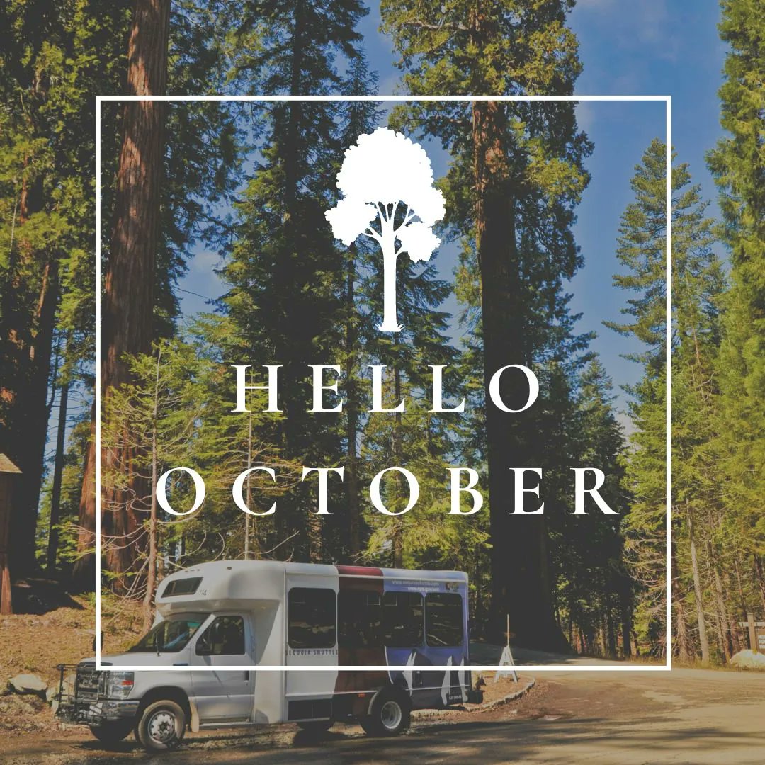 Sequoia Shuttle tweet media