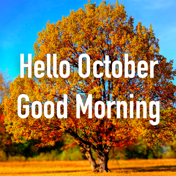 Have a beautiful and peaceful weekend!🤗