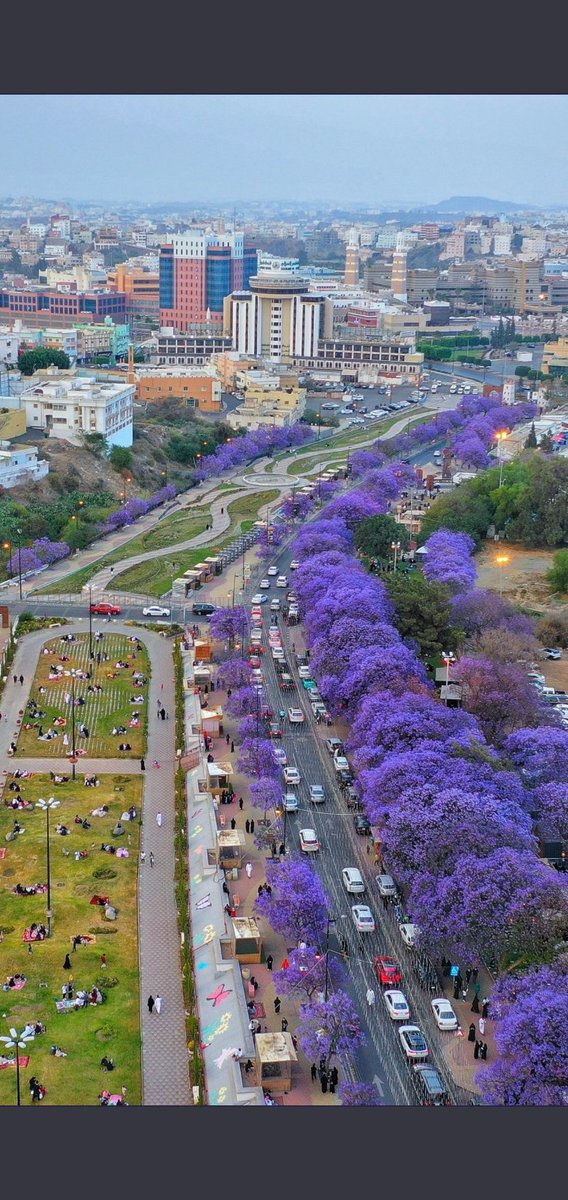 محمد عبدالخالق بن مانع tweet media