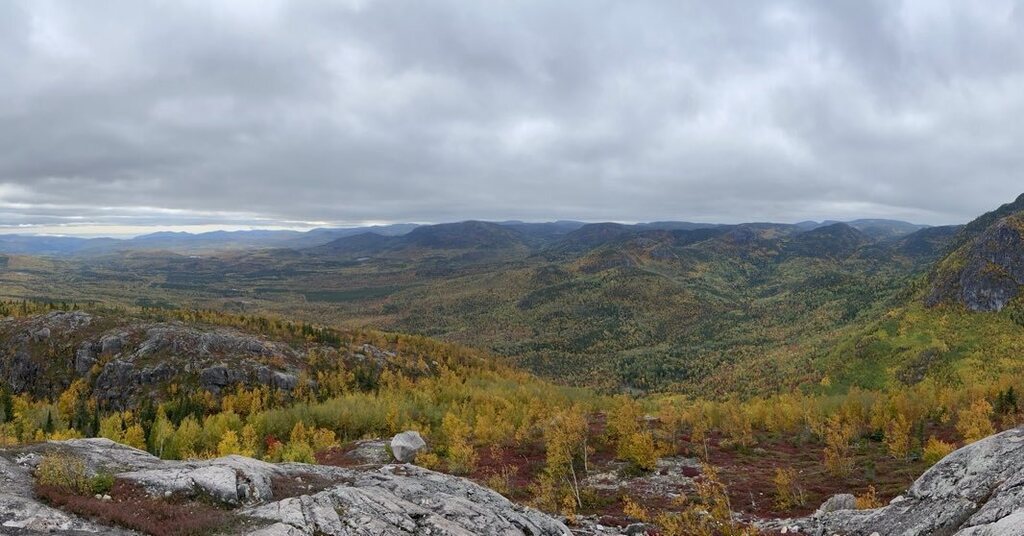 Catherine Paradis tweet media