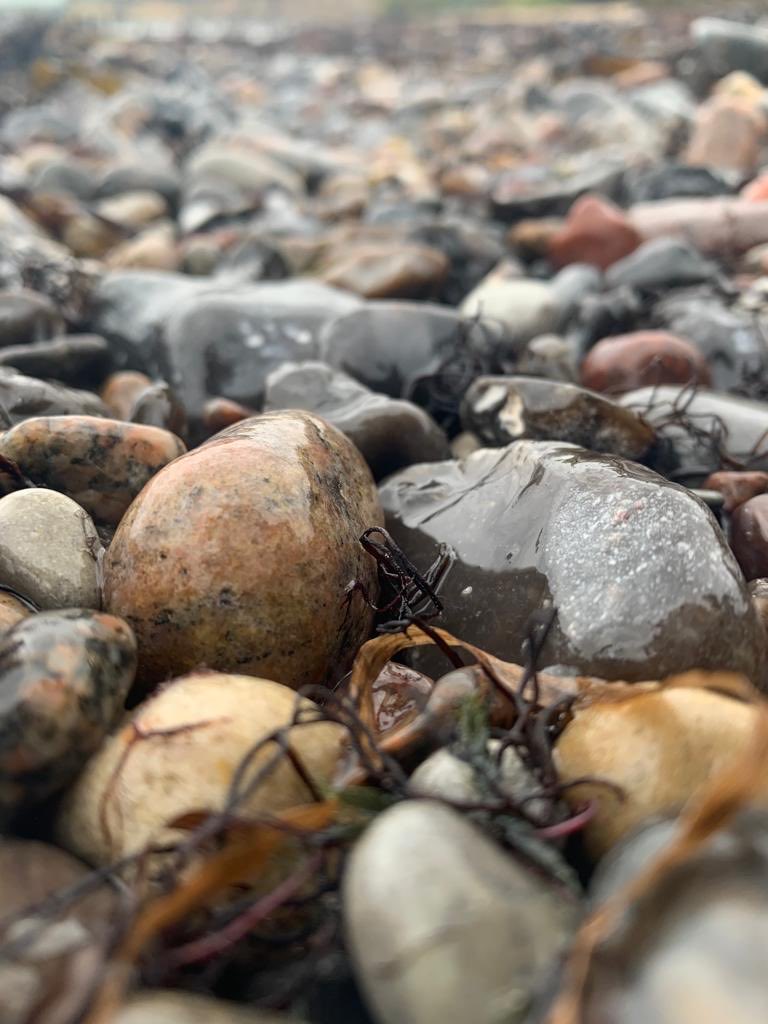 Funkelschoen's tweet photo. #Strandsteine #Rügen #Naturephotography #nature #Natur https://t.co/89CggN3xit