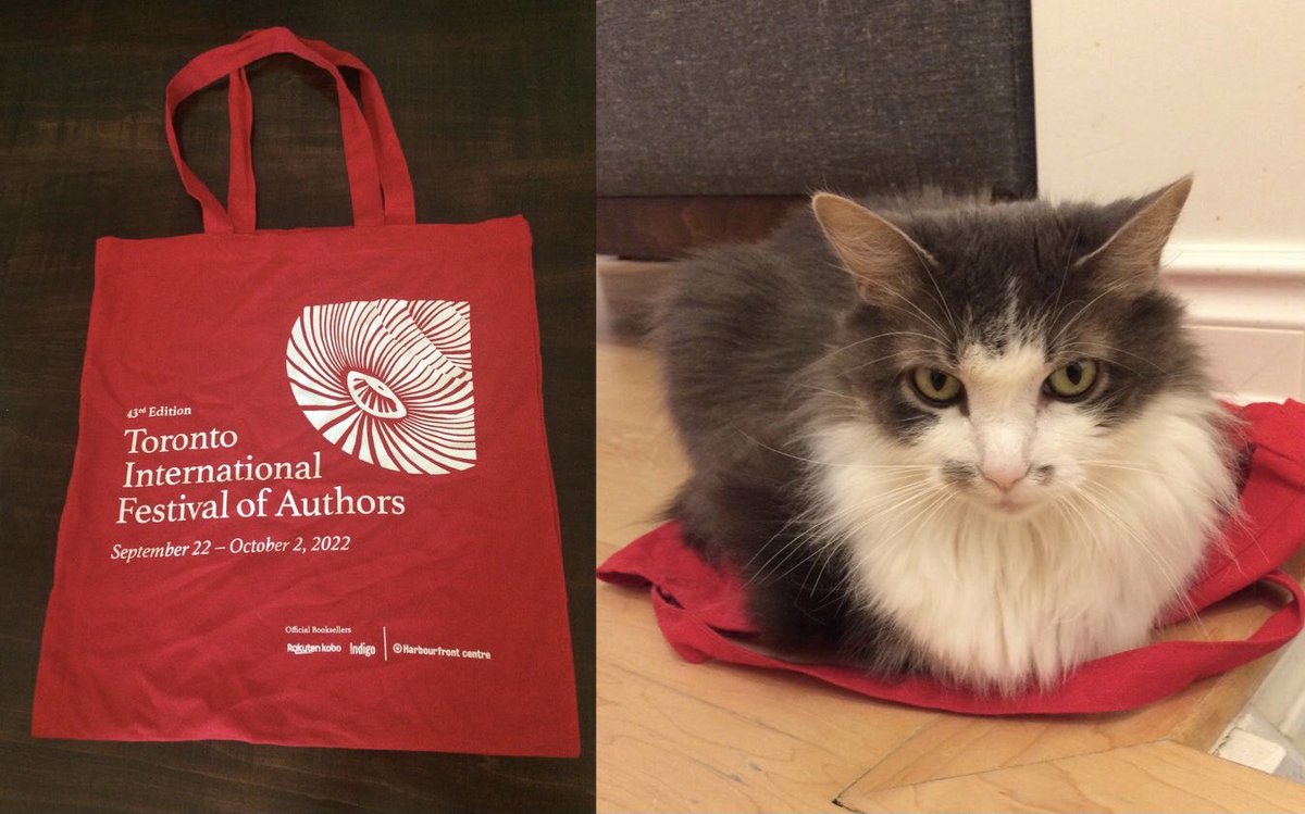 “This ⁦@festofauthors⁩ book bag is now officially mine,” says Allie. #FestofAuthors22 #caturday 😻📚😻