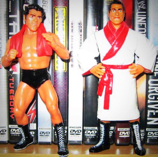 JWsWrestlingMem's tweet image. RIP

#AntonioInoki #Puroresu #BomBaYe