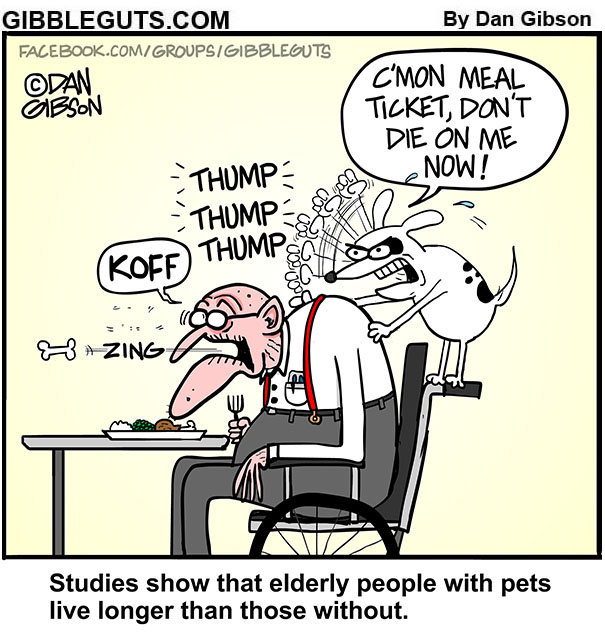 Gibblegutscomic's tweet photo. The Results Are In! 🤓
#pets #oldpeople #herb #dogs #oldpeopleandpets #havingapet #servicedog https://t.co/ZslVfa9cGn