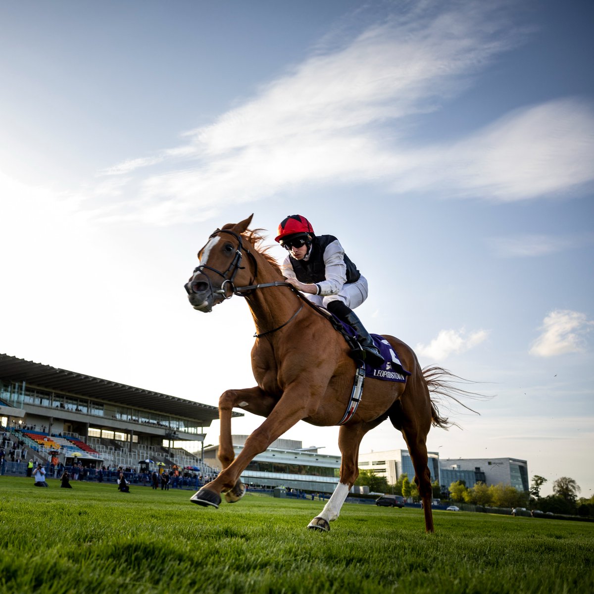Racing Post tweet media
