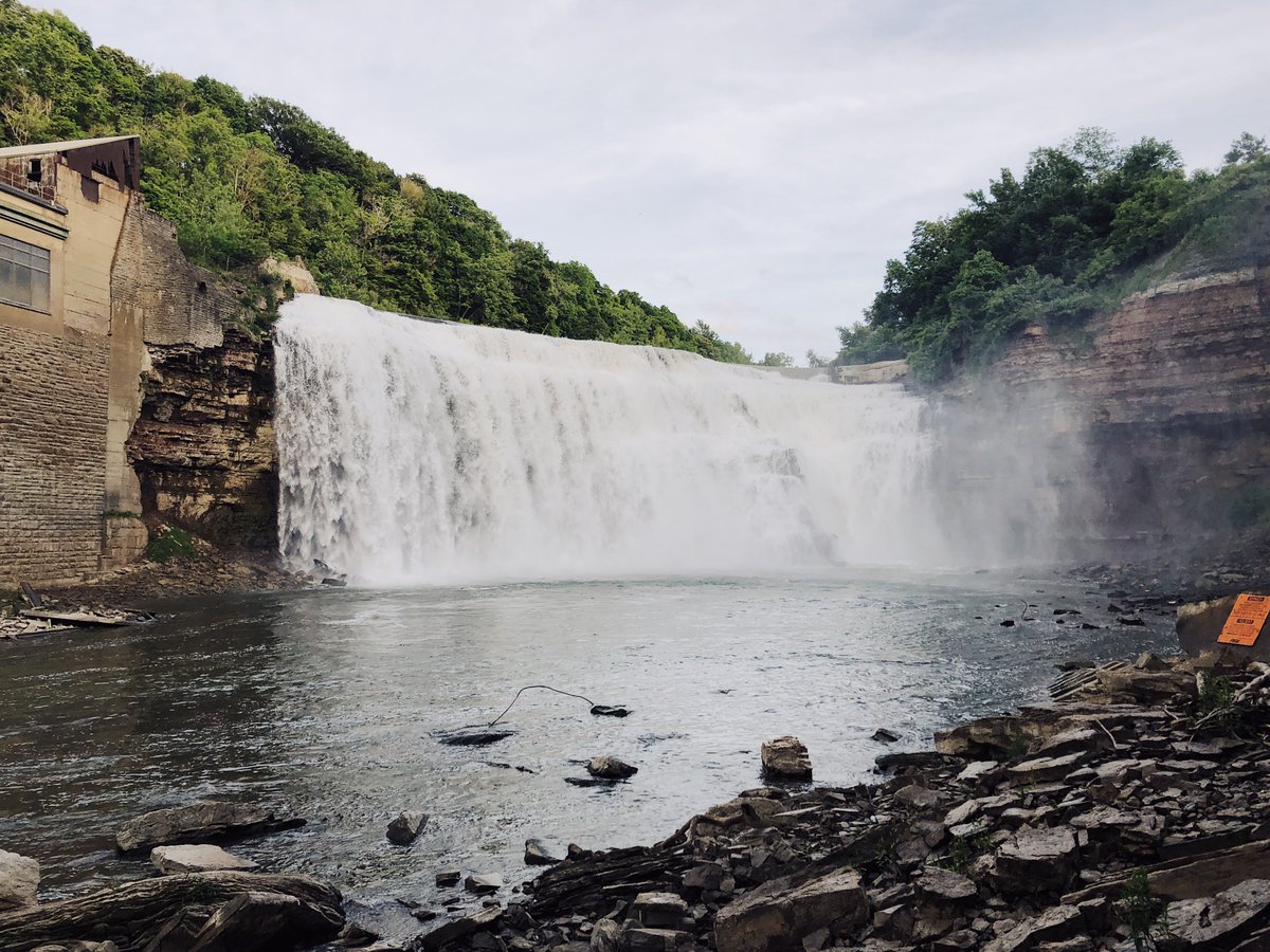 Explore Rochester tweet media