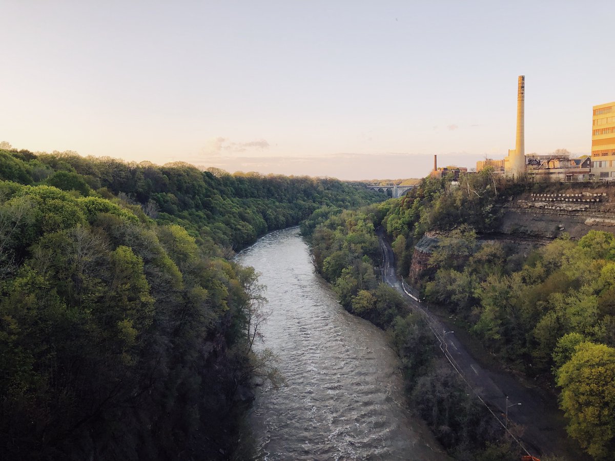 Explore Rochester tweet media