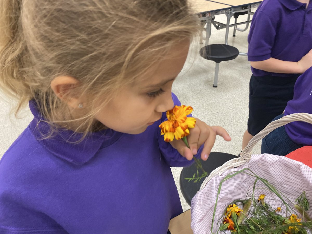 marietculver's tweet photo. Exploring together #DiscoveryDaysSeatack #EmergingScholarsSeatack @SeatackDream @vbschools @VBTitleI @VBGifted #PatternShapeDay #1stgrade 💙💚💙💚 https://t.co/FZpoftMy2Q