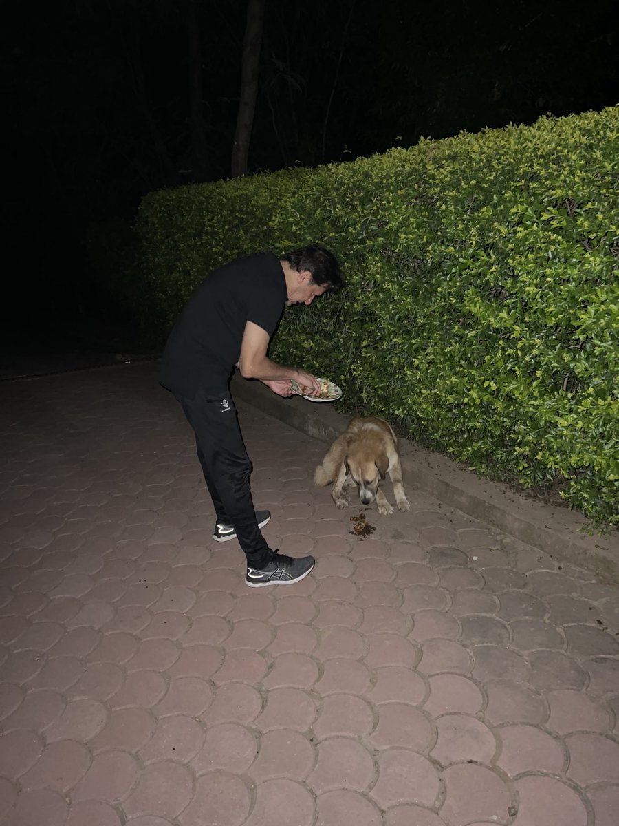 Imran khan feeding dogs at this very moment while news rife that police intending to arrest him.