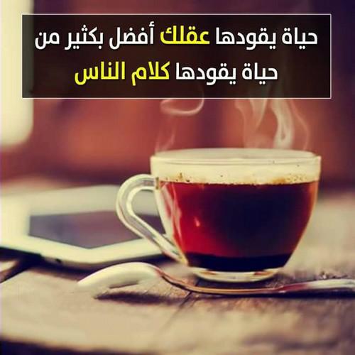 تمضي الأيام (@ahfas60579988) on Twitter photo 