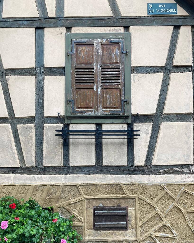 wingertsdaily's tweet photo. C‘est ça.

#alsace #elsass #wein #vignoble #epfig https://t.co/UedZNqABct