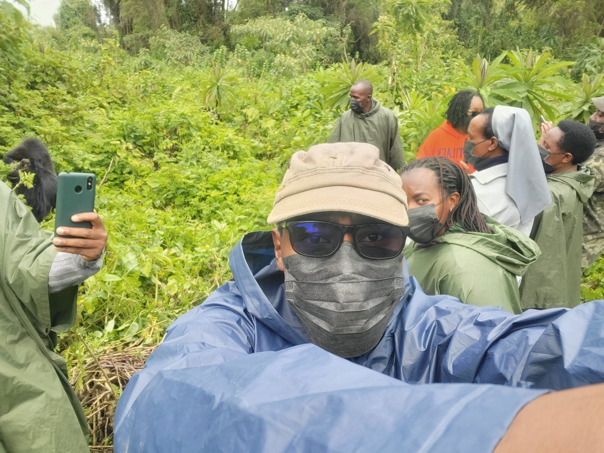 AMpuhwe's tweet photo. Dian Fossey Gorilla Fund Organized Gorilla Trekking for 33 Local Government Leaders from districts and sectors around the Volcanoes National https://t.co/svA1juu8Bf we visited Mountain Gorilla, Amahoro family, and we were 14 leaders. Let's be ambassadors  of gorillas. https://t.co/9EuK21sJ2W