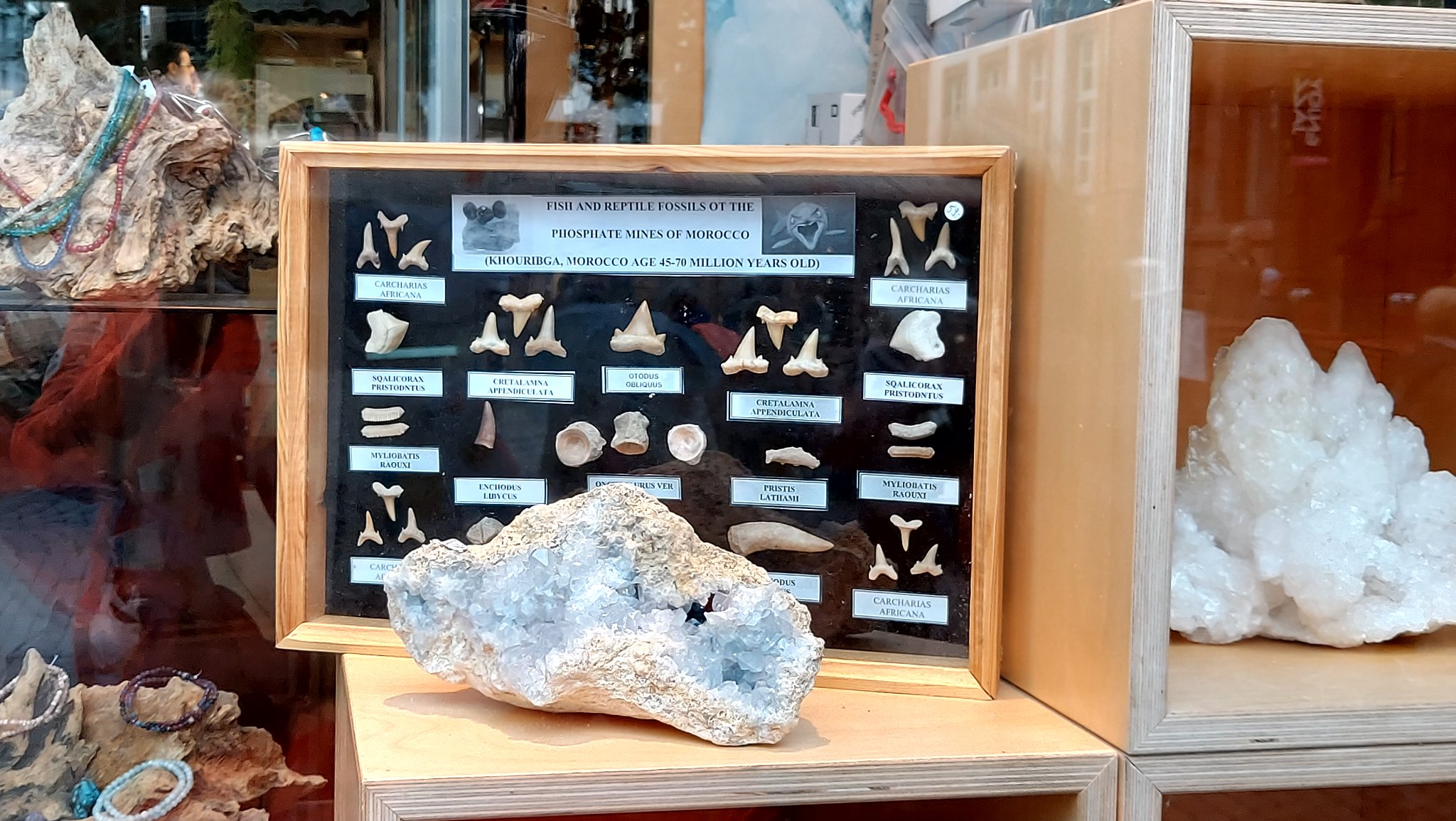 Nussaïbah Raja on Twitter "We're in Heidelberg this weekend, and came