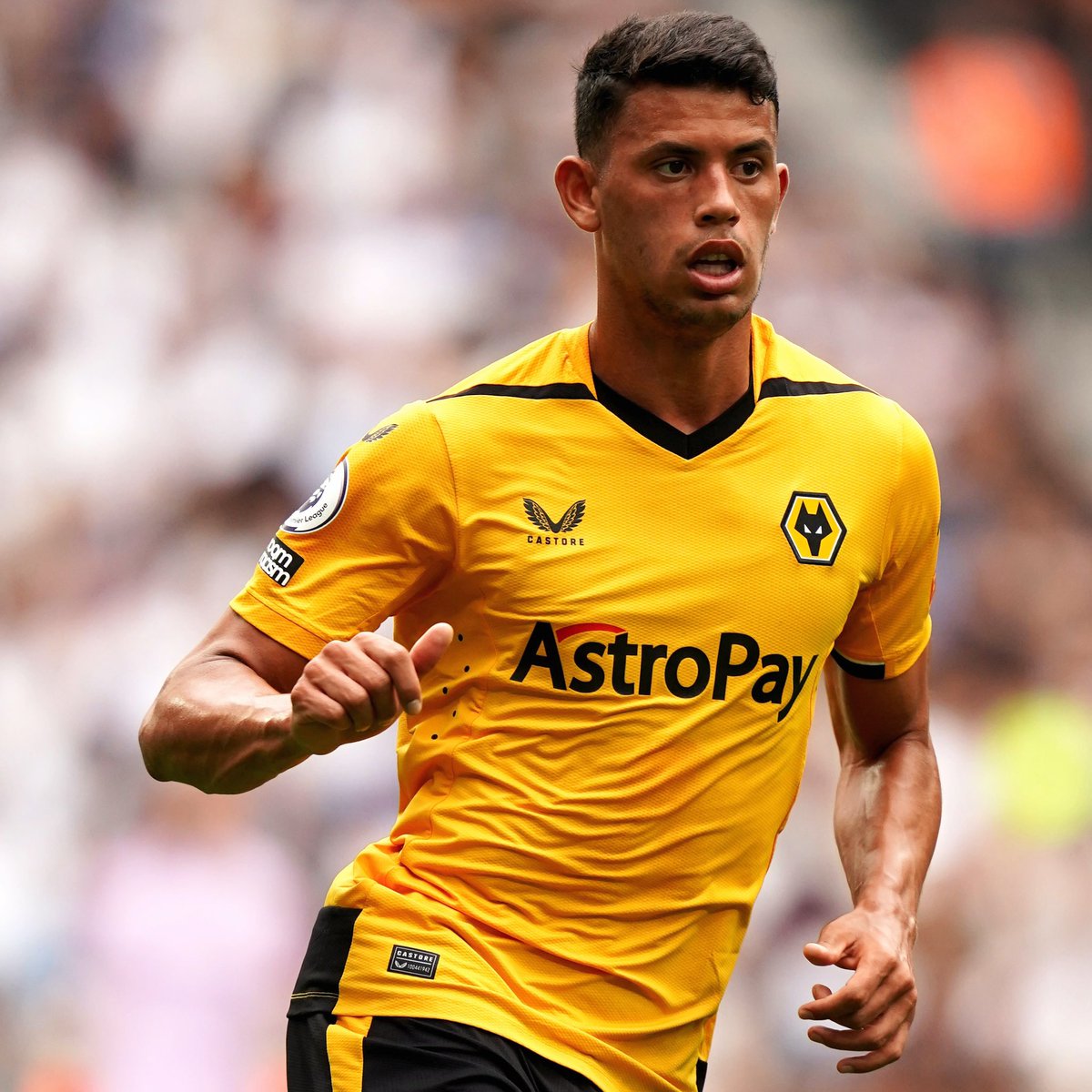 WHITE HART tweet media