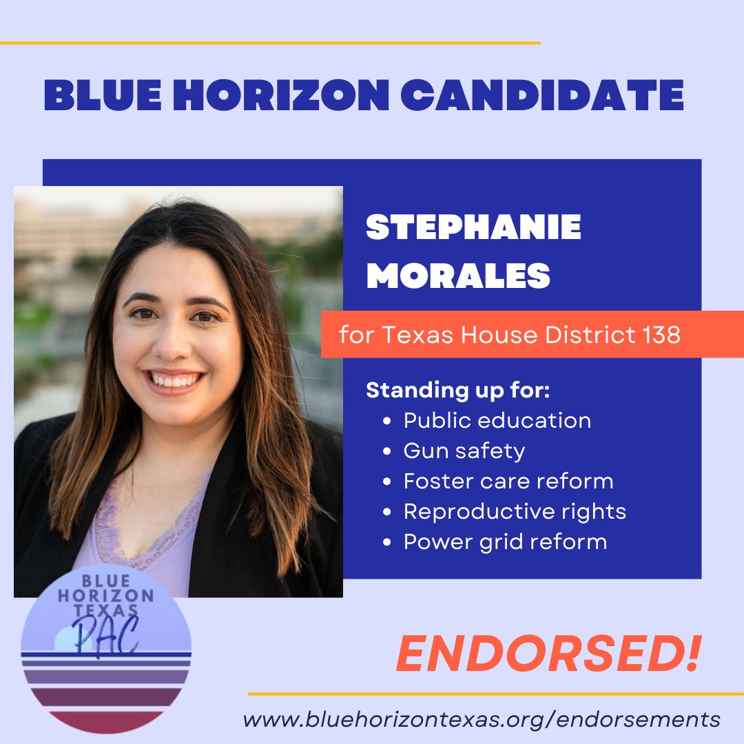 BlueHorizonTX's tweet photo. For Texas House 3/4 @joepherrera @GinnyforTX150 @StephanieforTx https://t.co/cs13CM0X3x