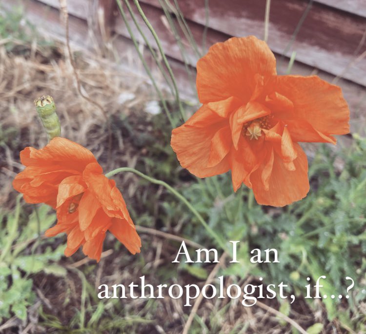 Anthways tweet media