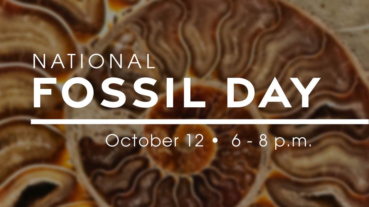 We're celebrating National Fossil Day! Register by Oct. 5 for an exclusive after-hours event where we explore the incredible fossils found right here in Oklahoma, and tour our private fossil collection! Click here to register: samnoblemuseum.ou.edu/calendar/adult…