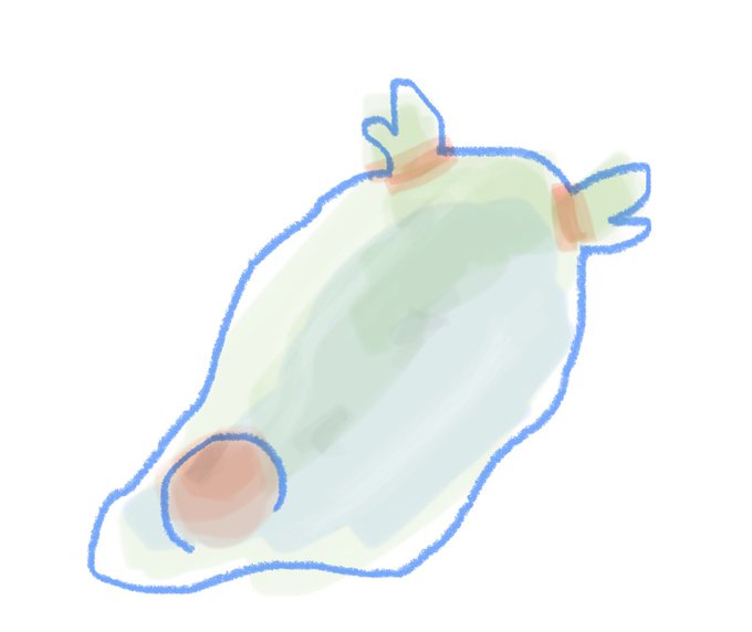 @LumHGwHXupKNgir デリケートなので触りすぎは禁物 