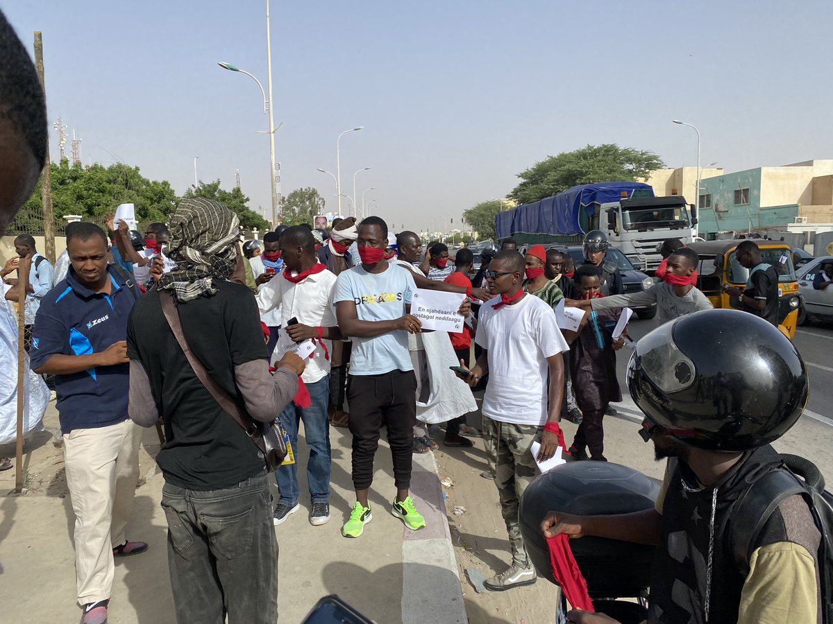 Dieynaba N'diom tweet media