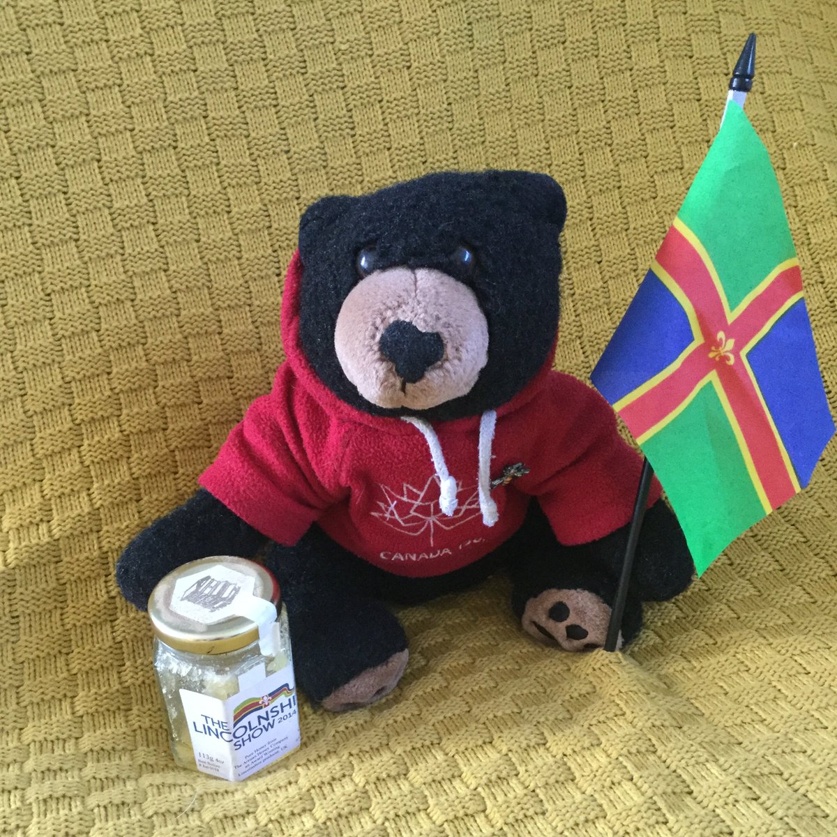 BestAlertBert's tweet image. Celebrating #LincolnshireDay with some local honey!  I just need some plum bread to spread it on and some sausages for dipping!

#Lincolnshire #LincolnshirePride #Yellowbelly