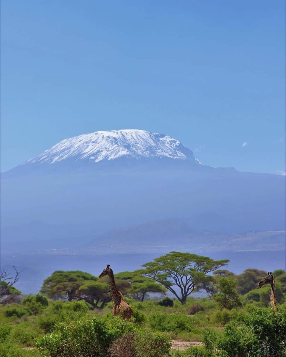 A beautiful day in Amboseli National Park Photo by Joseph Mochoge