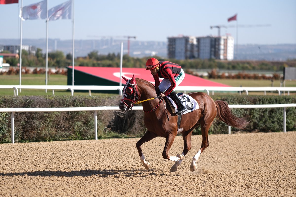 Kardeşcan ilk kez Gr1 kazandı