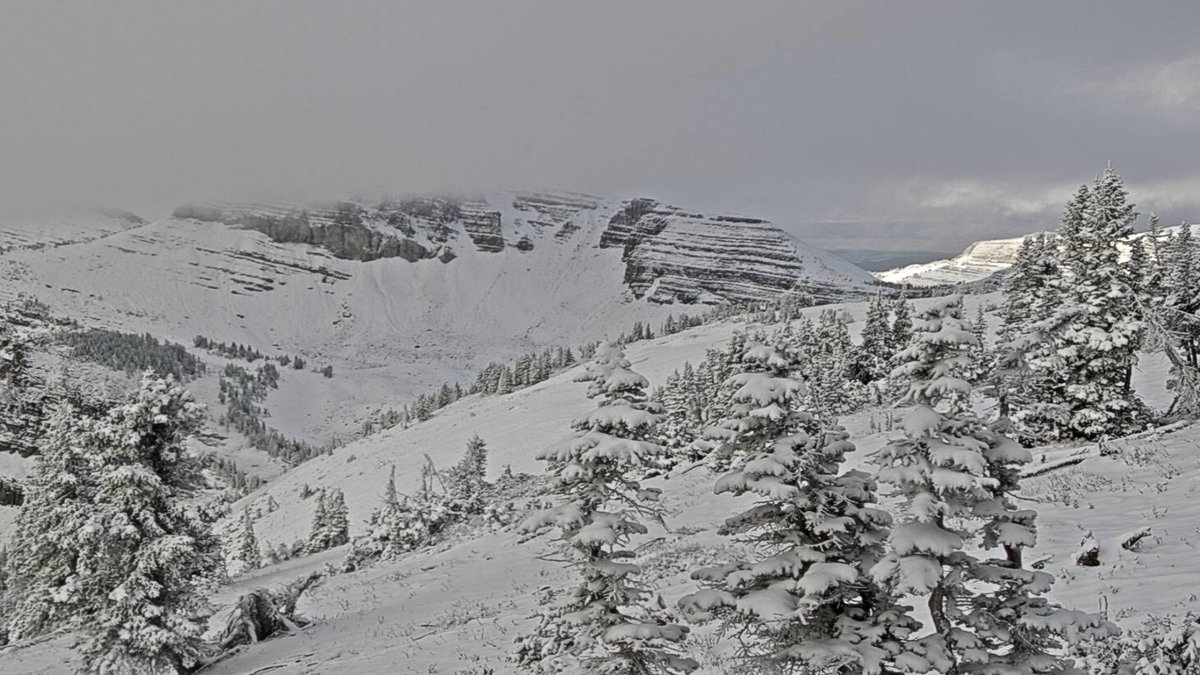 Jackson Hole tweet media